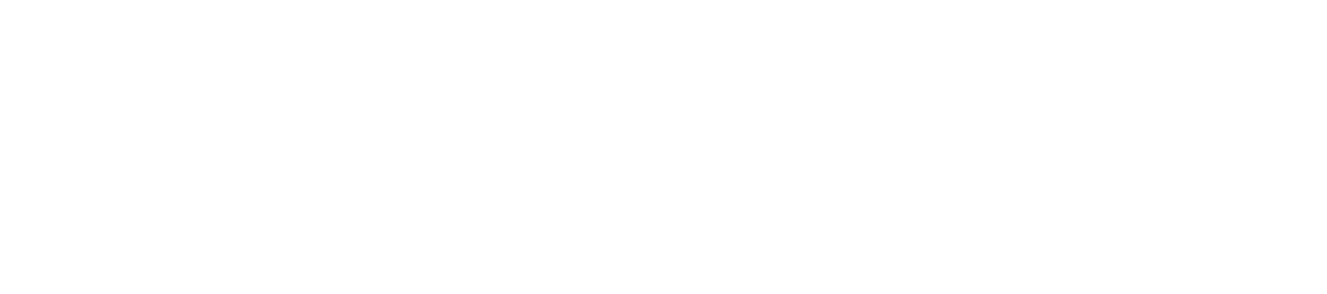 White Logo (Horizontal)